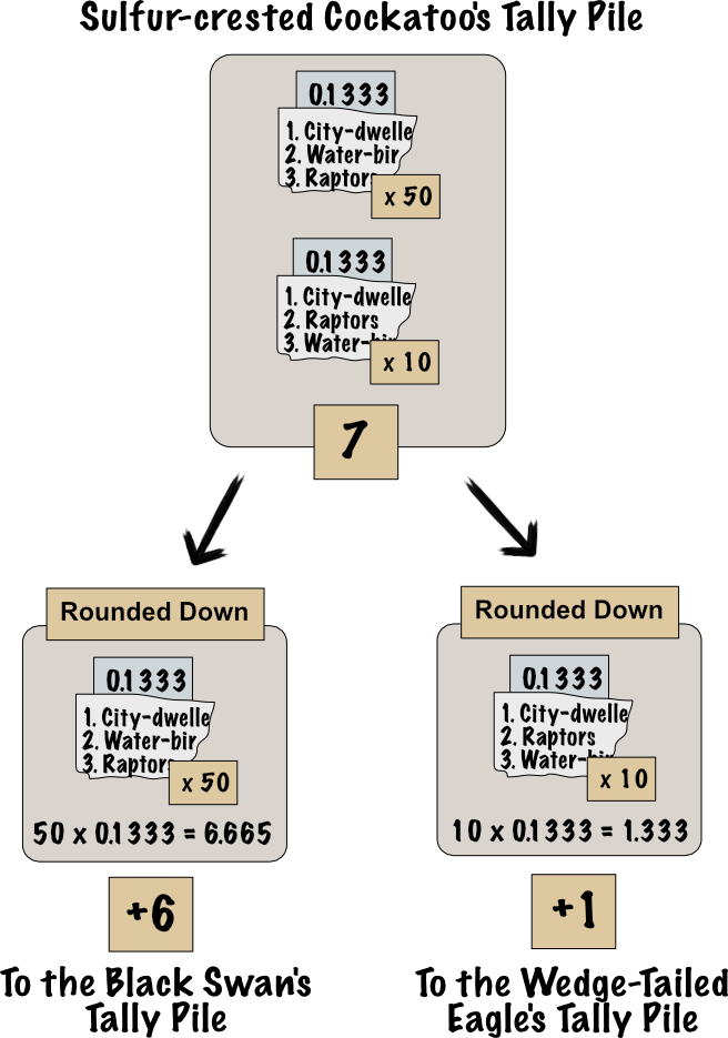 The total number of votes that move from the Sulfur-crested Cockatoo to the Black Swan is equal to 50 times 0.1333 all rounded down, which is 6 votes. The total number of votes that move from the Sulfur-crested Cockatoo to the Wedge-Tailed Eagle is 10 times 0.1333 all rounded down, which is 1 vote.
