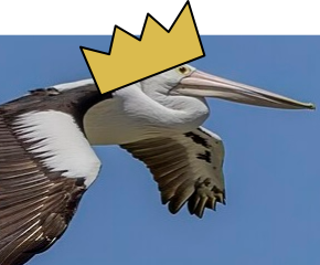 Pelican with a crown on its head