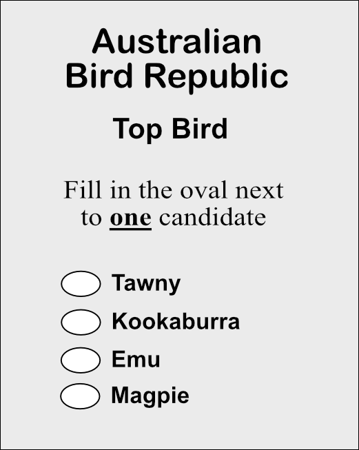 A blank first past the post ballot paper for Top Bird